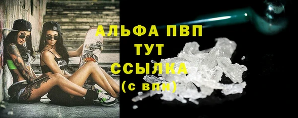 индика Аркадак