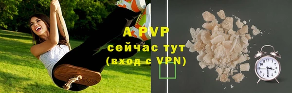 стафф Горно-Алтайск