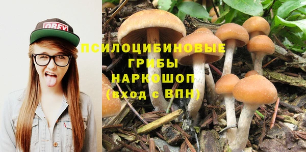 крисы Арсеньев
