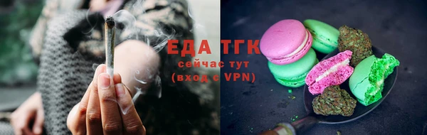 индика Аркадак