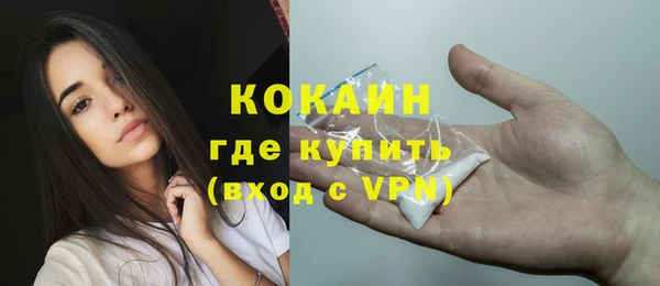 индика Аркадак