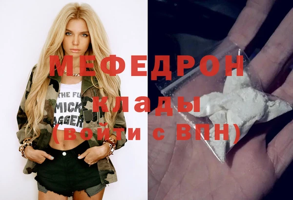 индика Аркадак
