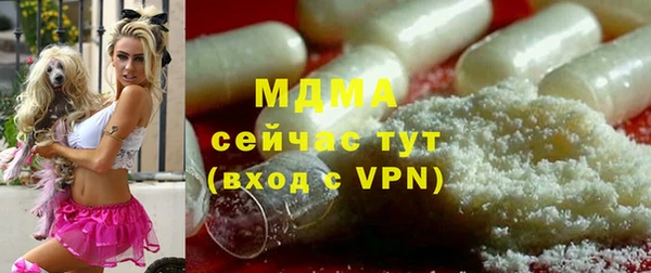 индика Аркадак