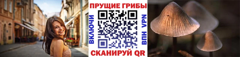 Галлюциногенные грибы ЛСД  МЕГА ONION  Лагань  как найти закладки 