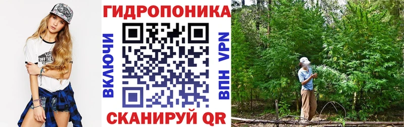 Конопля планчик  закладки  Лагань 